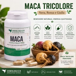 Maca tricolore capsule