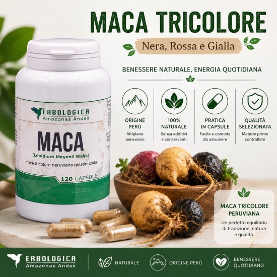 Maca Tricolore Peruviana Gelatinizzata 120 Capsule Erbologica Amazonas Andes Maca Tricolore Peruviana Gelatinizzata 120 Capsule Erbologica Amazonas Andes integratore naturale in capsule con maca nera rossa e gialla origine Perù.