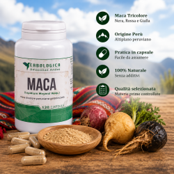 Maca tricolore capsule