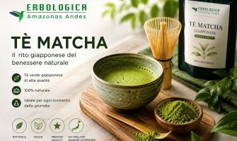 Tè matcha giapponese: benefici, preparazione e matcha latte