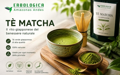 Tè matcha giapponese: benefici, preparazione e matcha latte