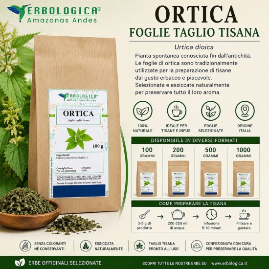 Ortica Foglie Taglio Tisana Erbologica Urtica dioica