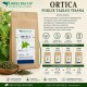 Ortica Foglie Taglio Tisana Erbologica Urtica dioica
