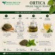 Ortica Foglie Taglio Tisana Erbologica Urtica dioica