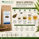 Spaccapietra Pianta Taglio Tisana Ceterach officinarum essiccata per infusi naturali
