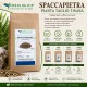 Spaccapietra Pianta Taglio Tisana Ceterach officinarum essiccata per infusi naturali