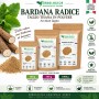 Bardana Radice in Polvere – Arctium lappa 100 g 500 g 1 kg