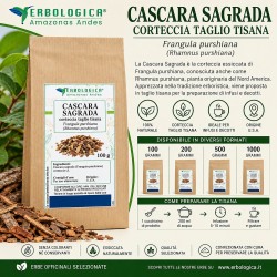 Cascara Sagrada Corteccia – Frangula purshiana 100 g 500 g 1 kg