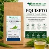 Equiseto Erba Taglio Tisana (Equisetum arvense)