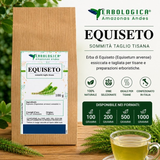 Equiseto erba taglio tisana Equisetum arvense essiccato