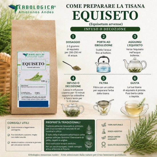 Equiseto erba taglio tisana Equisetum arvense essiccato