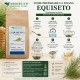 Equiseto erba taglio tisana Equisetum arvense essiccato