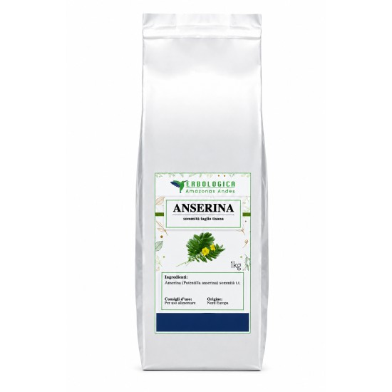 Anserina sommità taglio tisana 1 kg in busta argento Erbologica Amazonas Andes Confezione argento Erbologica Amazonas Andes di anserina sommità taglio tisana da 1 kg su sfondo bianco.