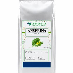 Anserina sommità taglio tisana Anserina sommità taglio tisana