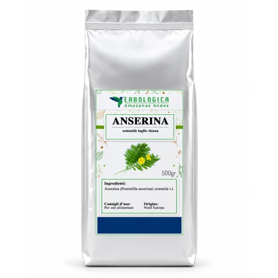 Anserina sommità taglio tisana 500 g in busta argento Erbologica Amazonas Andes Busta argento Erbologica Amazonas Andes con etichetta di anserina sommità taglio tisana da 500 g su sfondo bianco.