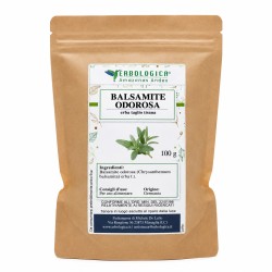 Balsamite Odorosa erba taglio tisana