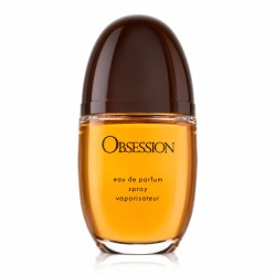 Calvin Klein CK Obsession eau de parfum spray 100 ml
