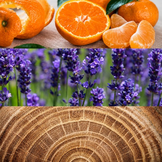 Collage delle note olfattive di Calvin Klein Obsession for Men con agrumi, fiori di lavanda e legno che rappresentano la composizione della fragranza.