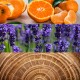 Collage delle note olfattive di Calvin Klein Obsession for Men con agrumi, fiori di lavanda e legno che rappresentano la composizione della fragranza.