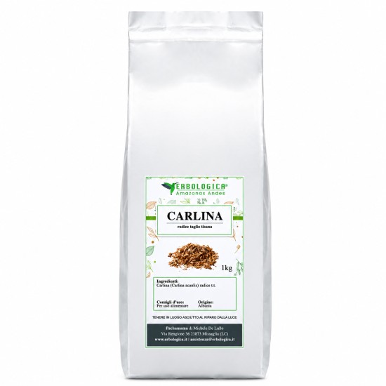 Confezione pouch argentata da 1kg di Carlina Radice Taglio Tisana (Carlina acaulis) Erbologica Amazonas Andes