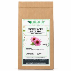 Echinacea pallida radice tisana