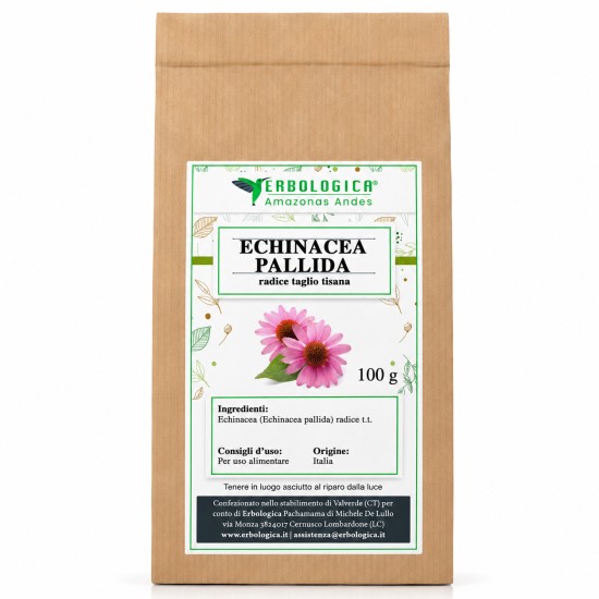 Echinacea Pallida radice tisana 100gr Erbologica Amazonas Andes confezione in busta ermetica per infuso