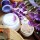 Bellezza naturale creare cosmetici fai da te con erbe officinali