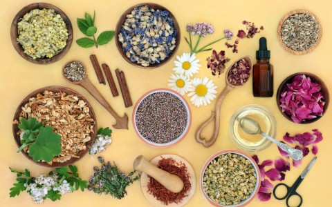Il segreto del benessere naturale: scopri erbe officinali, tisane e tè