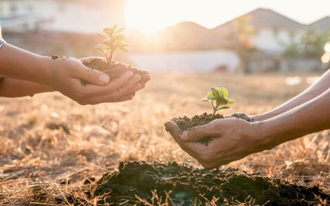 Vivere verde: integrare il benessere personale con la sostenibilità | erbologica