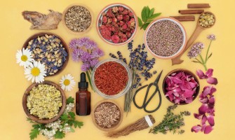 Digestione lenta le piante che aiutano