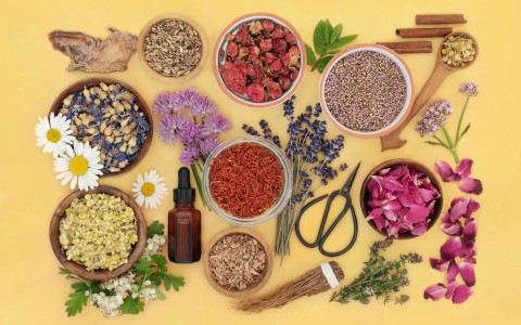 Digestione lenta le piante che aiutano