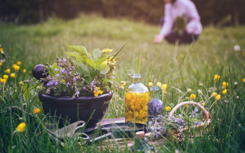 erbe anti stress per affrontare il caldo estivo
