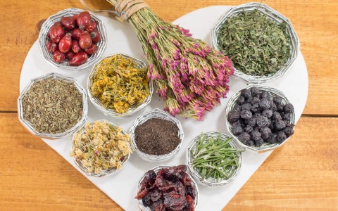Le erbe officinali che aiutano la stanchezza mentale e la concentrazione