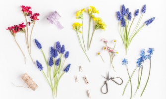 Scoperta primaverile: erbe officinali, ricette e segreti per il benessere