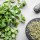 Erbe per il metabolismo e il controllo del peso