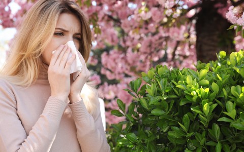 Rimedi naturali contro le allergie