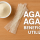 Agar Agar: cos’è, benefici e come usarlo in cucina