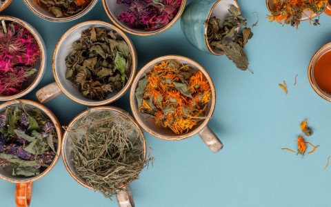 Erbe per la pelle: tisane e decotti per un benessere che si vede