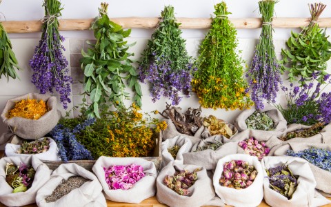 Come essiccare le erbe medicinali in casa: guida pratica completa