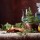 Grappa aromatica con bacche di ginepro e alloro: ricetta tradizionale