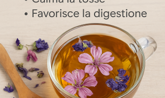 Tisana alla malva e fiori: benefici, proprietà e ricetta naturale