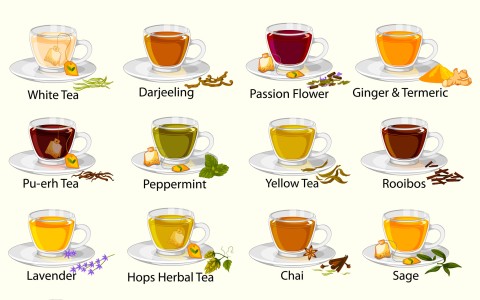 Differenza tra tisane, infusi e decotti: la guida completa