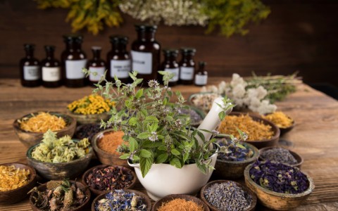 Erbe officinali e digiuno intermittente: quali piante aiutano davvero
