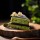 Torta alla moringa e cacao: ricetta energizzante con superfood