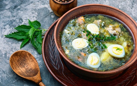 Zuppa contadina con ortica e tarassaco: ricetta tradizionale e benefici