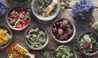 Erbe alpine medicinali: proprietà, benefici e usi delle piante di montagna