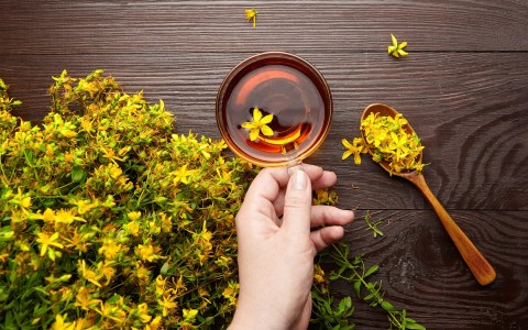 I benefici dell’iperico come rimedio naturale per umore, pelle e benessere quotidiano