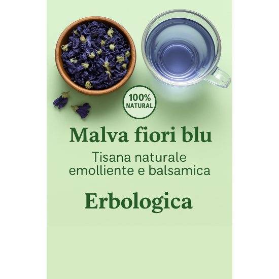Malva fiori blu
