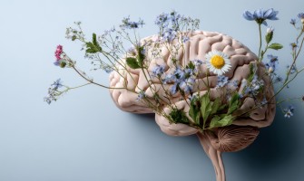 Piante medicinali per il cervello: erbe naturali per memoria e concentrazione
