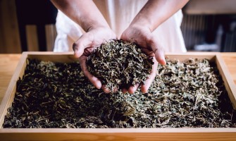 Come riutilizzare le foglie del tè: idee naturali e sostenibili